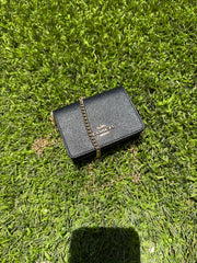 Mini Wallet on a Chain